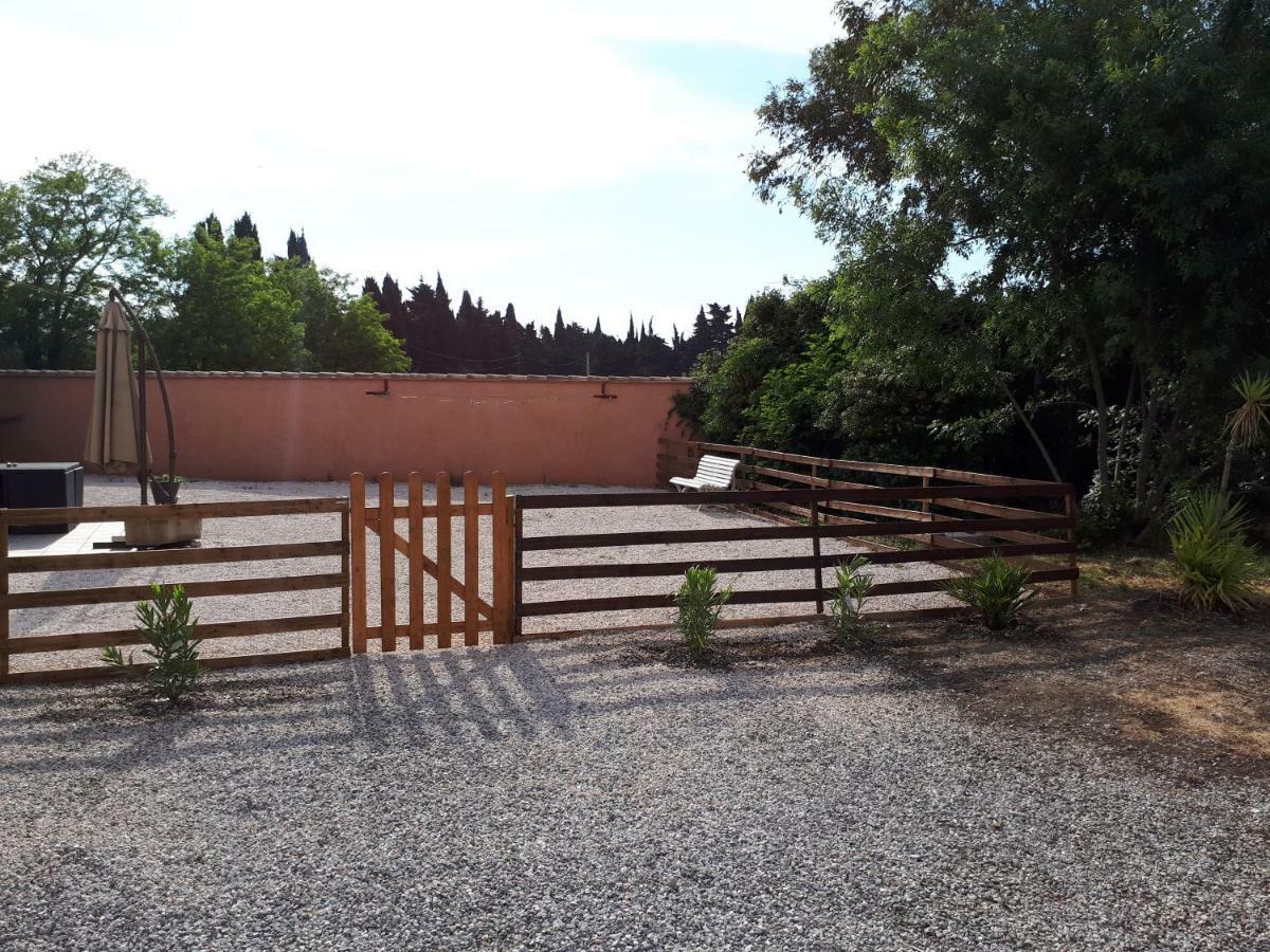 Maison Plain Pied Villelongue-de-la-Salanque Exteriér fotografie
